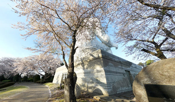 水戸市花見名所の大串貝塚ふれあい公園