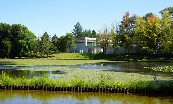 茨城県のアサザの池・沼・公園の観光名所VRツアー一覧:画像7