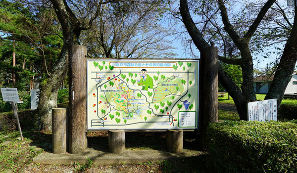 水戸市の花見おすすめ観光スポットの水戸市森林公園