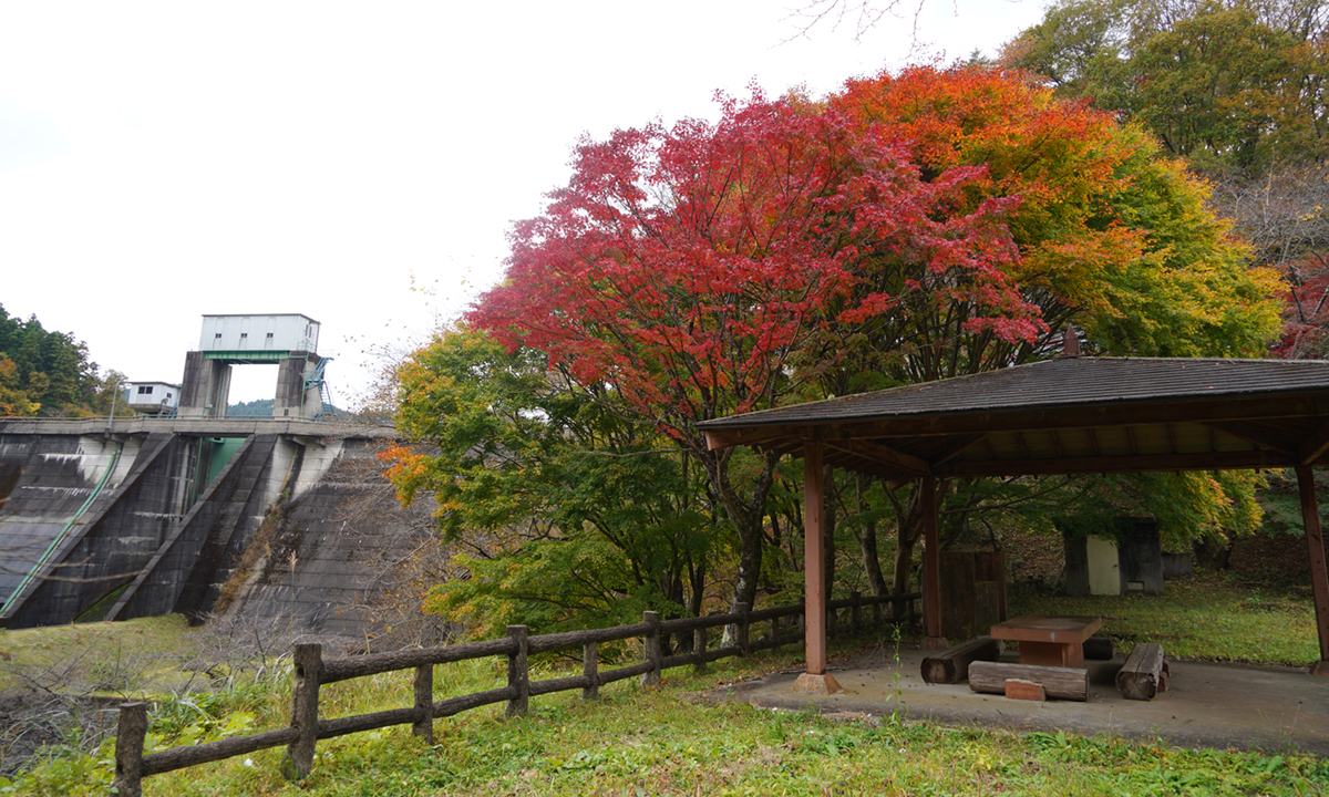 水沼ダム公園広場の紅葉