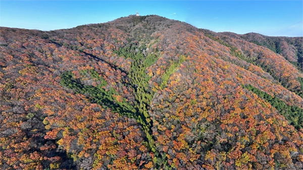 筑波山地の宝篋山の紅葉景観写真とVRツアーリンク