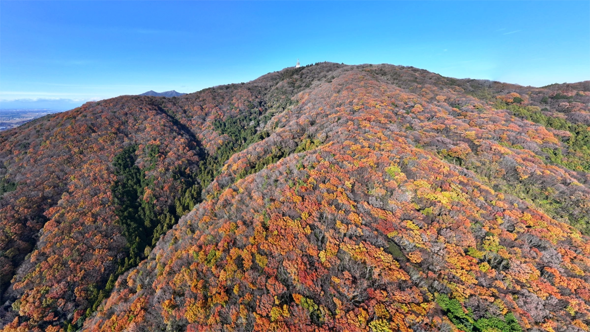 宝篋山南側斜面の東側の稜線の空撮景観写真と紅葉VRツアーのリンク