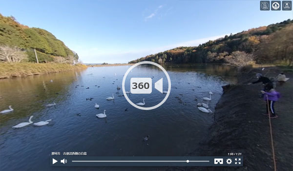 茨城県那珂市の白鳥の飛来地・古徳沼西側のVR動画