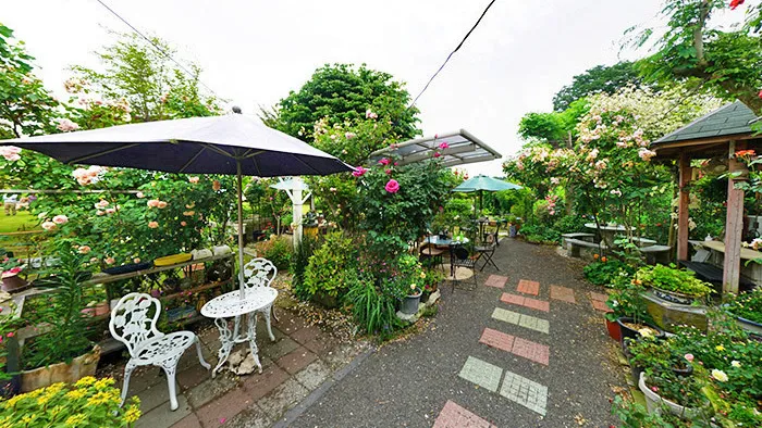 茨城県那珂市のなか野ガーデンのバラ