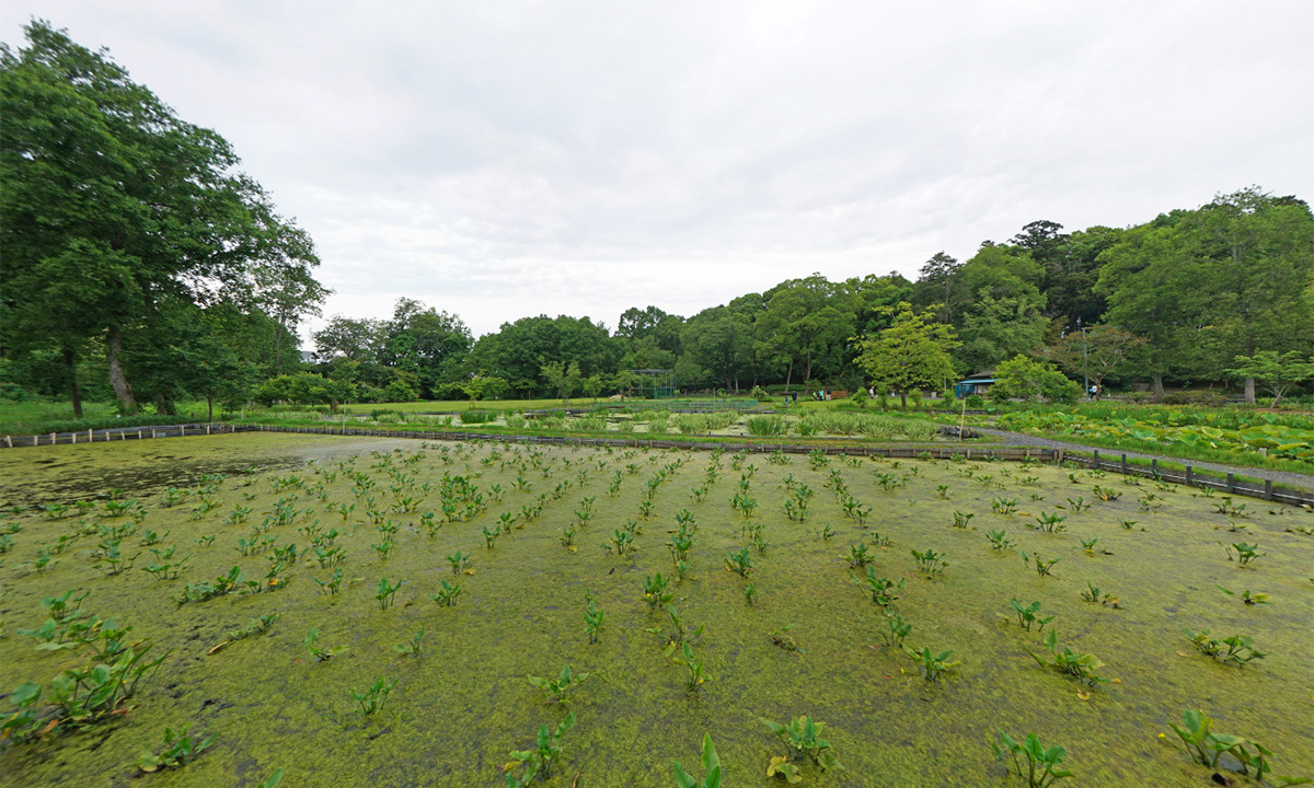 清水洞の上公園の観光案内
