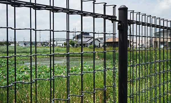 那珂市のハスの花・蓮池季節スポットの竹ノ内調整池のVRツアー