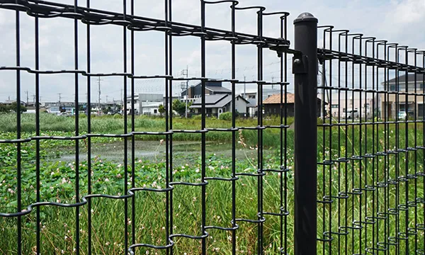 茨城県のハスの花・蓮池おすすめ季節観光名所の竹之内第２公園のVRツアー