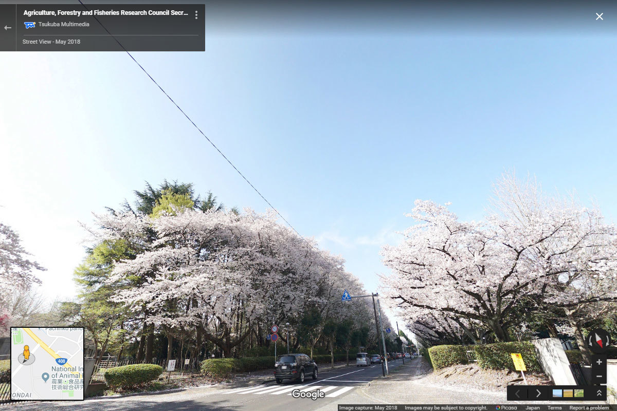 つくば市の農研機構（桜）おすすめ観光スポットGoogleストリートビュー