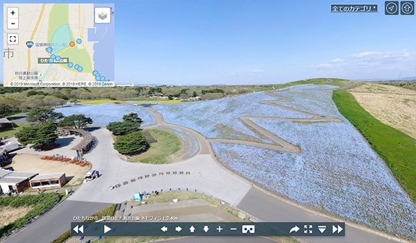 国営ひたち海浜公園のネモフィラのVRツアー写真