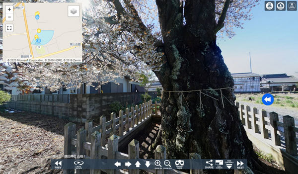 那珂市の額田神社の山桜VRツアー