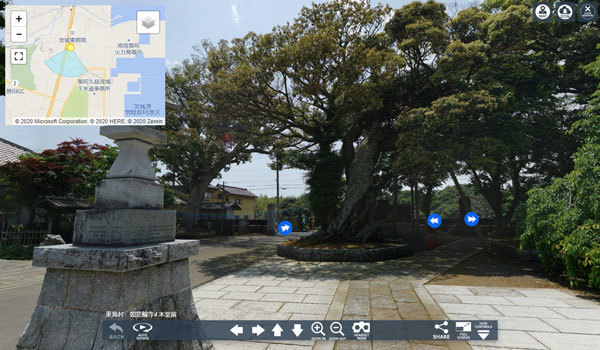 茨城県東海村の巨木観光名所の如意輪寺