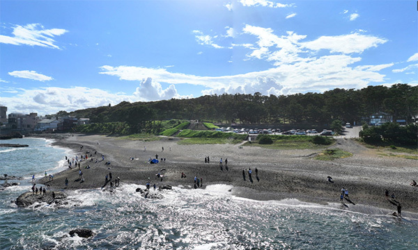 茨城県大洗町の大洗公園展望台付近