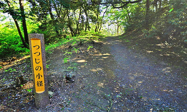 茨城県大洗町おすすめ観光スポットのつつじの小径