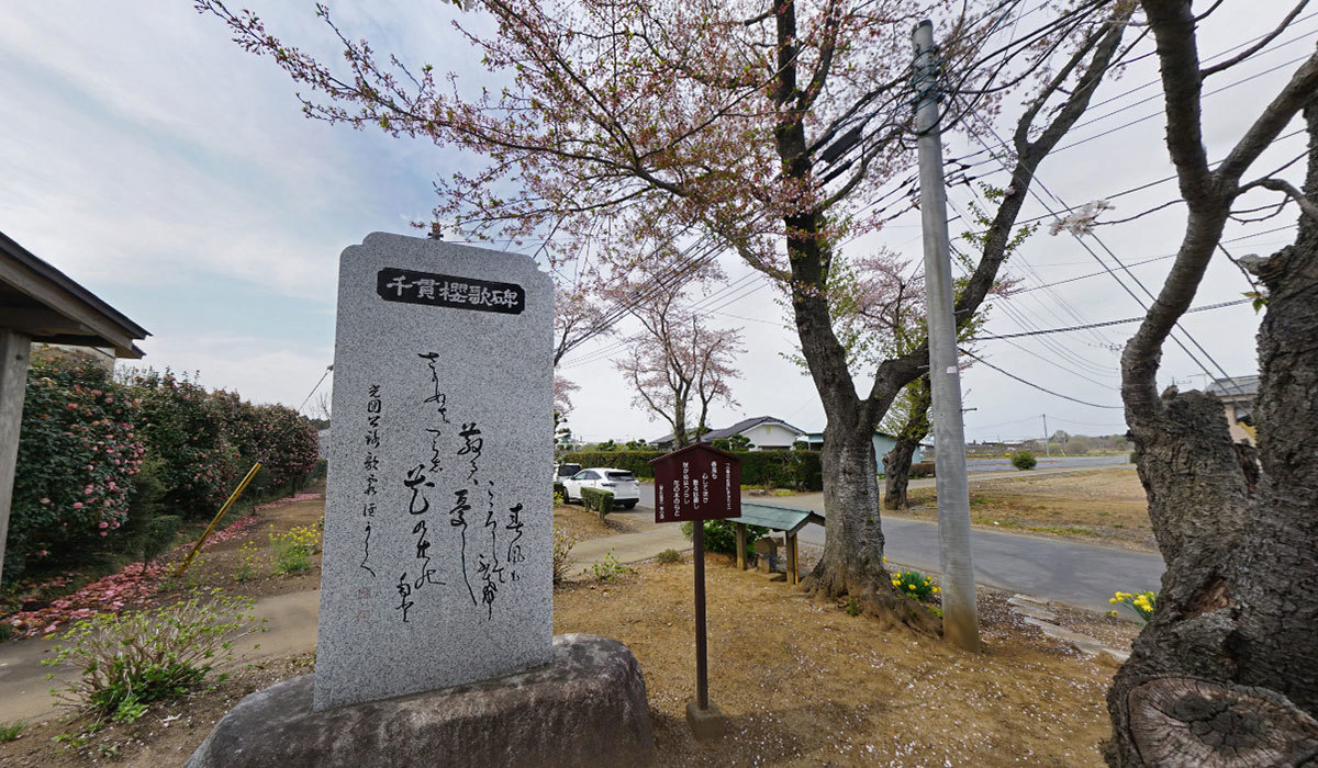 茨城町おすすめ観光スポットの小幡千貫櫻碑