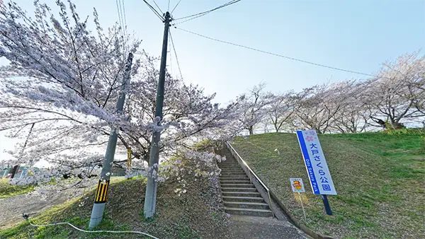 茨城町大戸の大戸さくら公園の入口の景観写真とVRツアーリンク