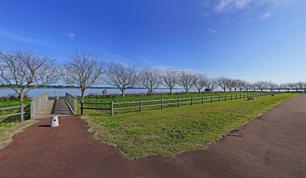 小美玉市おすすめ観光スポットの大井戸湖岸公園