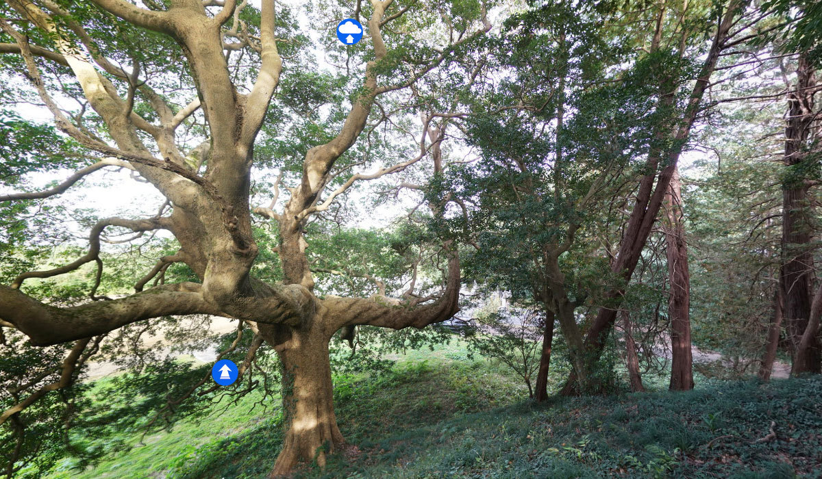 小美玉市おすすめ観光スポットの愛宕神社の樹叢の案内VRツアー