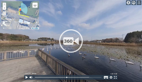 小美玉市の池花池の白鳥360度動画