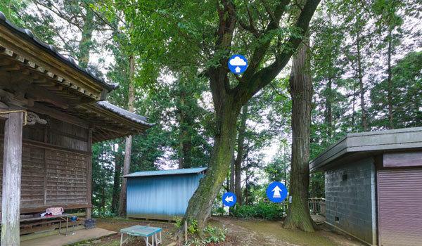 小美玉市の竹原神社の山桜と上溝桜VRツアー