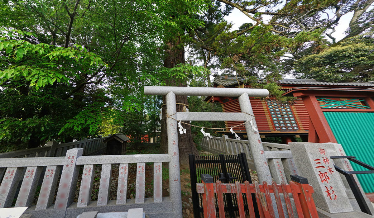 稲敷市巨木おすすめスポットの大杉神社の三郎杉