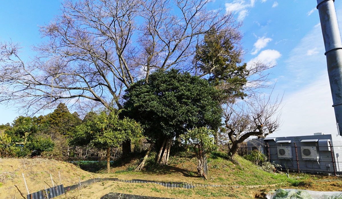 かすみがうら市の大塚古墳群85号墳