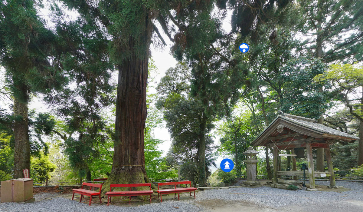 桜川市の巨木おすすめ観光スポットの小山寺の大杉の案内VRツアー