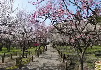 自然公園・都市公園の観光VRツアー