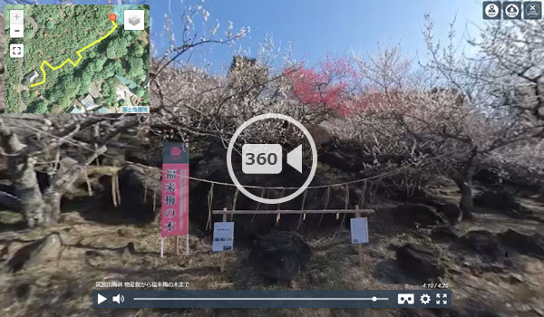 つくば市観光スポットの筑波山梅林の観光VR動画