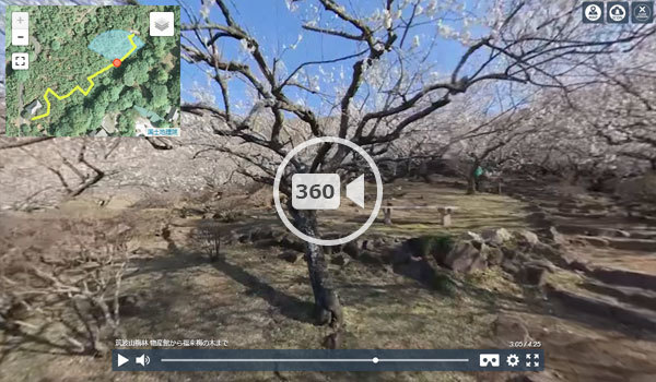 筑波山季節観光スポットの梅林の観光VR動画