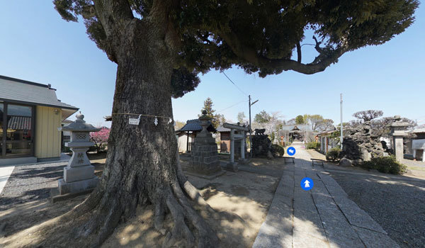 茨城県境町の巨木おすすめスポットの香取神社