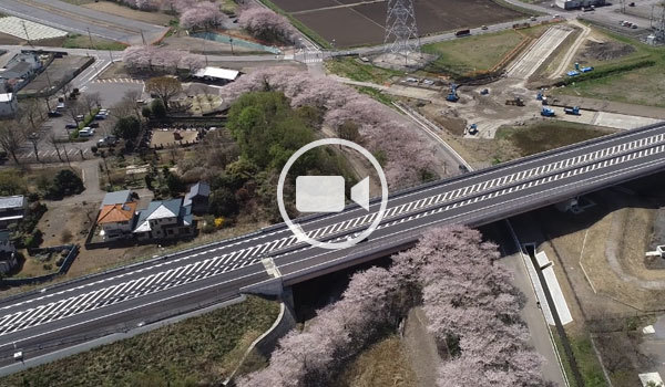 圏央道両側の桜の空撮観光動画