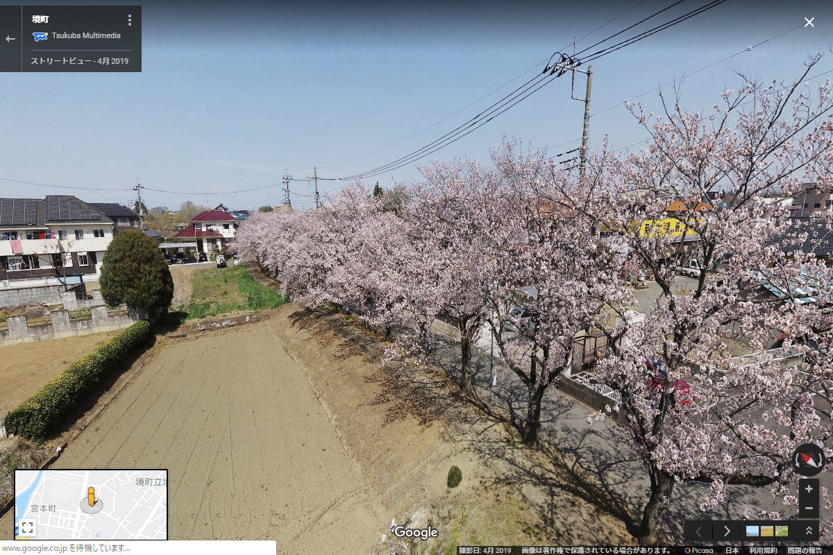 境町の境の桜並木おすすめ観光スポット空撮Googleストリートビュー
