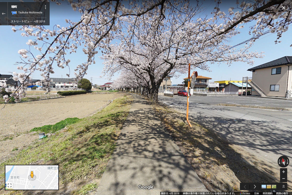境町の境の桜並木おすすめ観光スポットGoogleストリートビュー