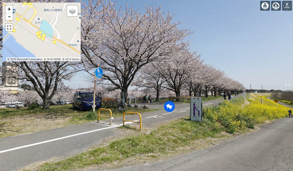 境町の利根川桜堤VRツアー