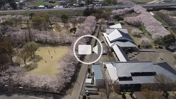 五霞町おすすめ花見スポットのふれあいの里公園の空撮観光動画
