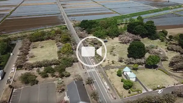 五霞町おすすめ花見スポットのさくらの森パークの空撮観光動画