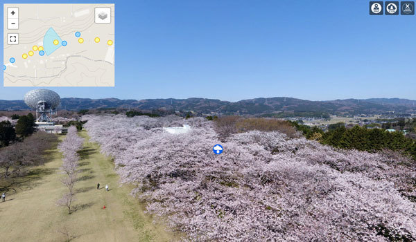 茨城県の桜 花見の名所 桜祭り観光スポット案内 茨城vrツアー 茨城県の桜 花見の名所 桜祭り観光スポット案内 茨城vrツアー