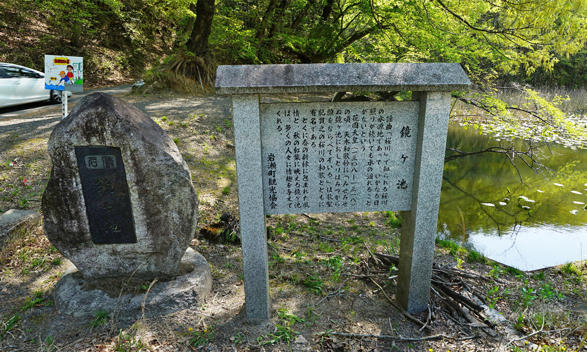 茨城県のコウホネ・花の見られる群生地等一覧:画像5