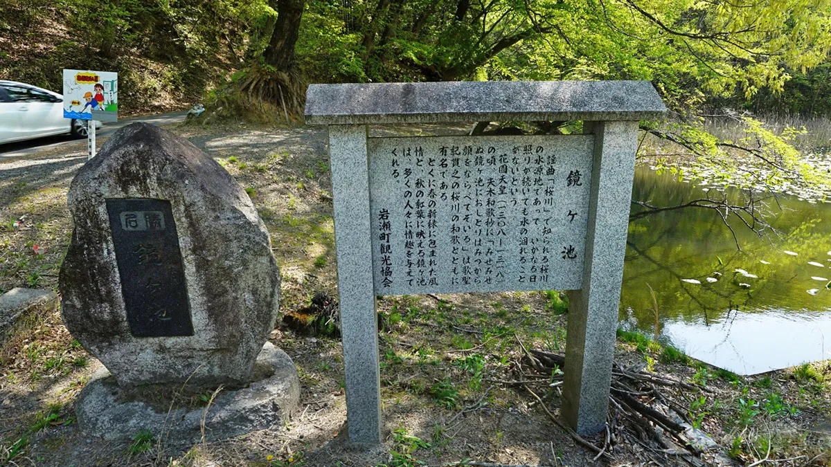 茨城県のコウホネの群生地・自生地等一覧:画像5