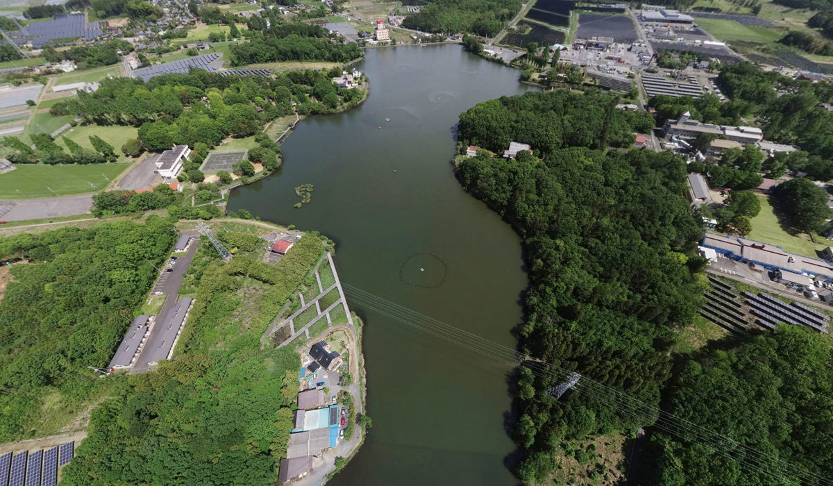 桜川市の湖沼観光名所の上野沼