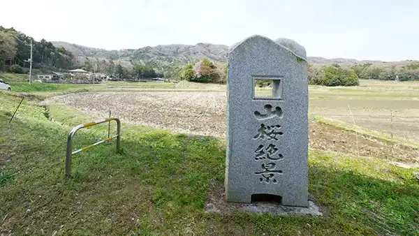 桜川市の桜の名所の山桜絶景の碑