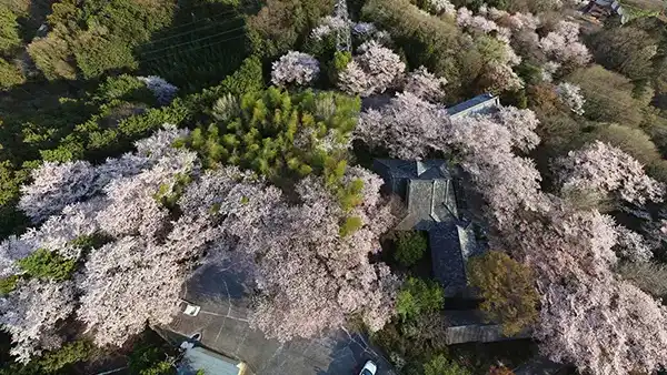 茨城県桜川市の岩瀬城総合娯楽センターの桜