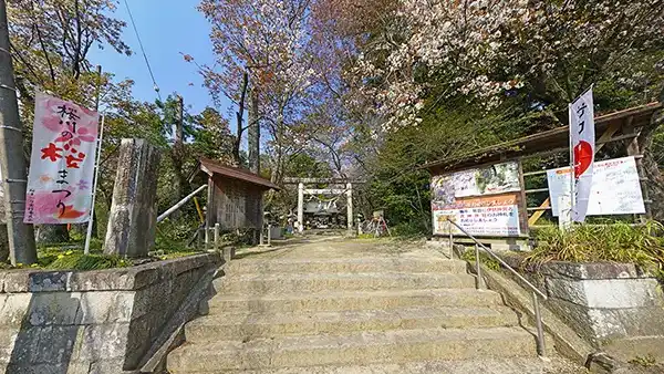 桜川市の桜・山桜の名所・花見スポット一覧:画像10