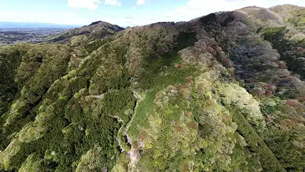 桜川市の桜おすすめスポットの高峯の山桜