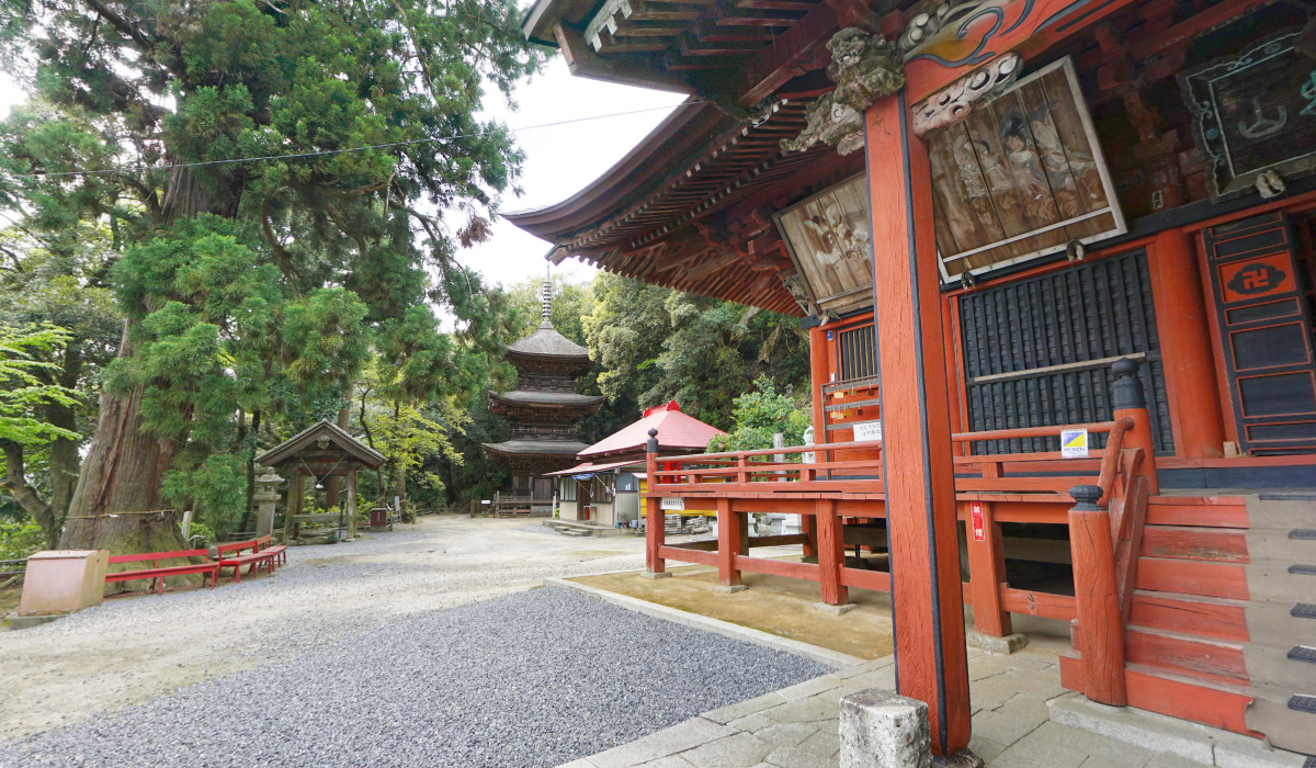 茨城県のぼたん桜で有名な富谷観音と富谷公園