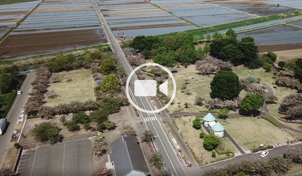 五霞町おすすめ花見スポットのさくらの森パークの空撮観光動画