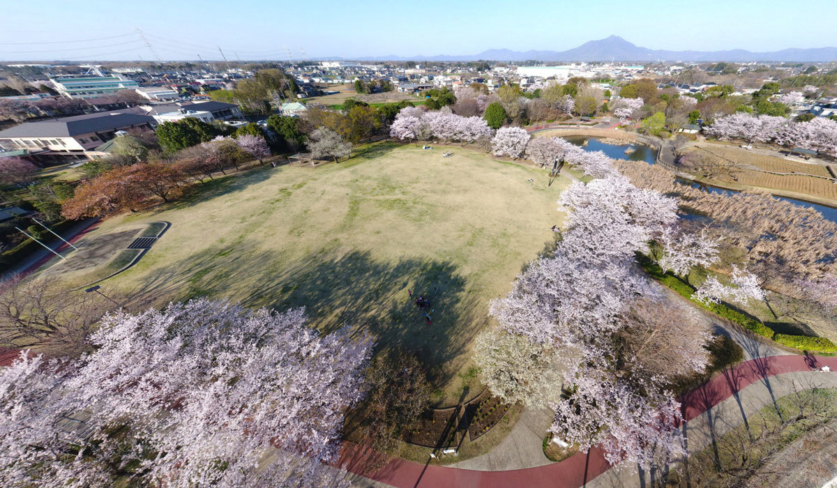 茨城県下妻市の桜 花見の名所 おすすめスポット 茨城vr ツアー