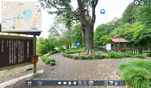 茨城県那珂市おすすめ巨木スポットの清水洞の上公園