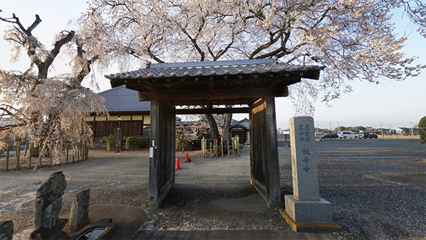 下妻市の観音寺の山門の景観写真