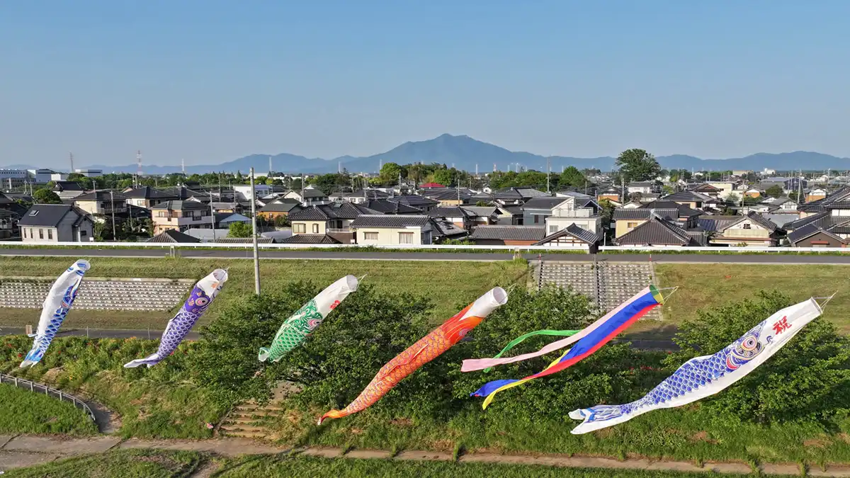 鬼怒川フラワーラインの鯉のぼりの空撮写真